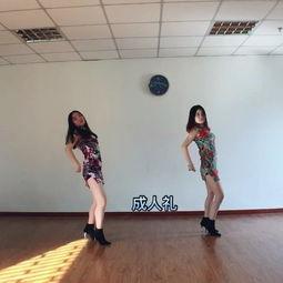 板凳成人舞蹈教学视频大全,解锁舞蹈新技能，轻松成为舞林高手